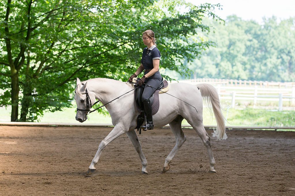 Foto-Beritt-Halima-Dehnung-MKP